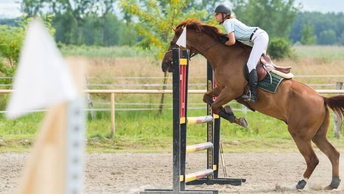  How do you set up a horse jump course?