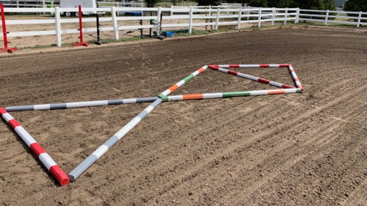 Ground Pole Exercises For Horses
