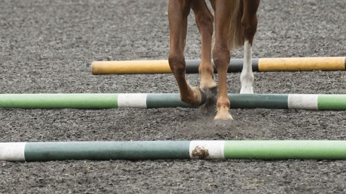  How often should you do pole work with your horse?